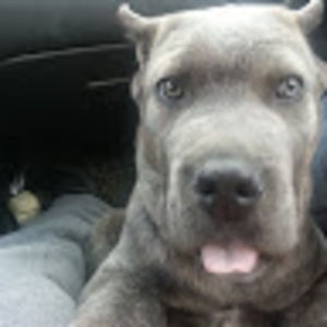 Meet your Posher, Maggie